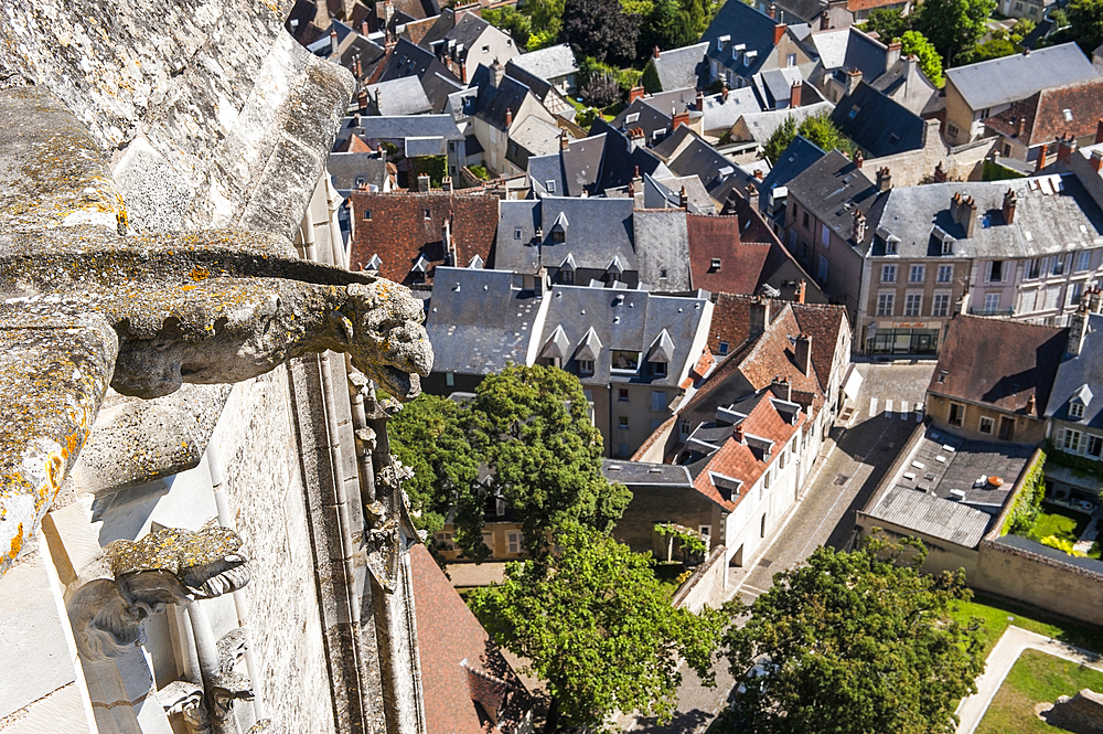 Aerial view over the historical centre of Bourges, from the top of the tower bell of the Cathedral Saint Stephen,Cher department,Berry province,region of Centre,France,Europe