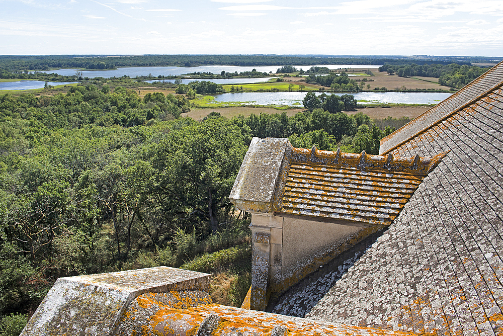 Brenne Regional Natural Park seen from a tower of the Chateau du Bouchet, Indre department, Historic province of Berry, Centre-Val de Loire region, France