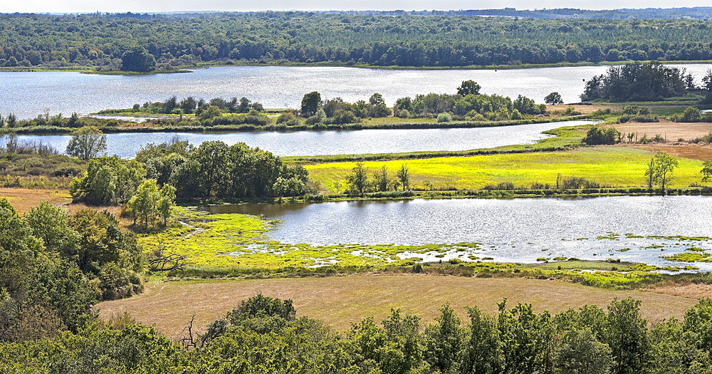 Brenne Regional Natural Park seen from a tower of the Chateau du Bouchet, Indre department, Historic province of Berry, Centre-Val de Loire region, France