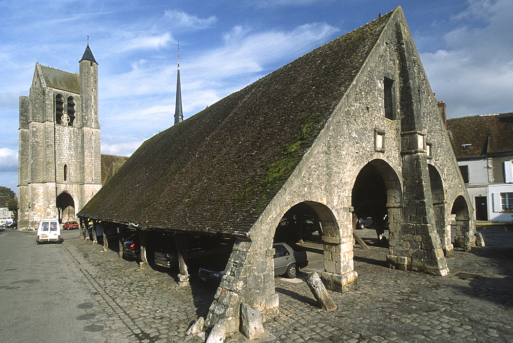 Covered market at Egreville,, Seine-et-Marne department, Ile-de-France region, France,Europe