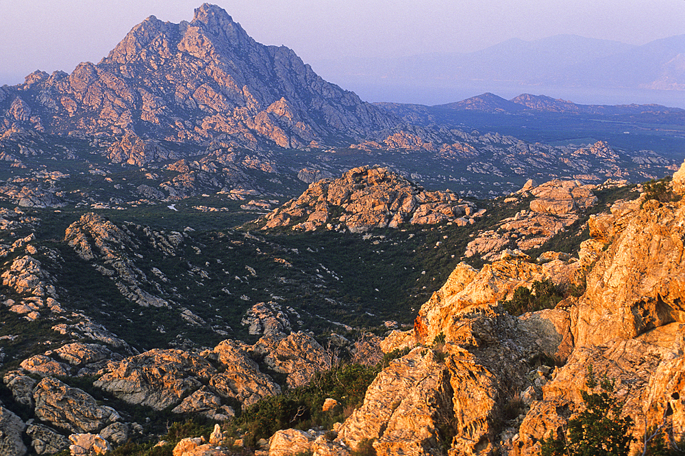 Desert des Agriates, Upper Corsica, Northern Corsica,France,Europe