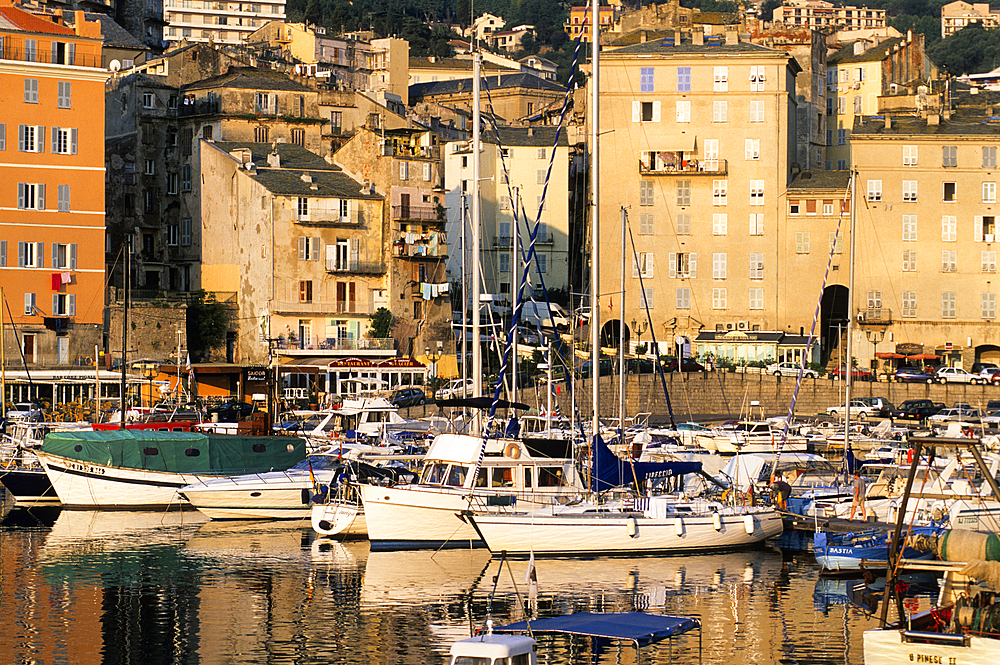Old harbour of Bastia, Upper Corsica, Northern Corsica,France,Europe