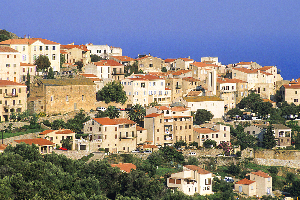 Monticello, village de la region Balagne, Haute-Corse,Corse du Nord,France,Europe//Monticello, village of Balagne region, Haute-Corse department, Northern Corsica,France,Europe