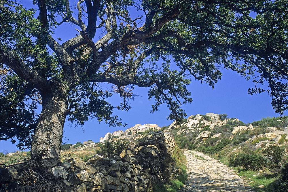 Sant Antonino, village in Balagne region, Haute-Corse department, Northern Corsica,France,Europe
