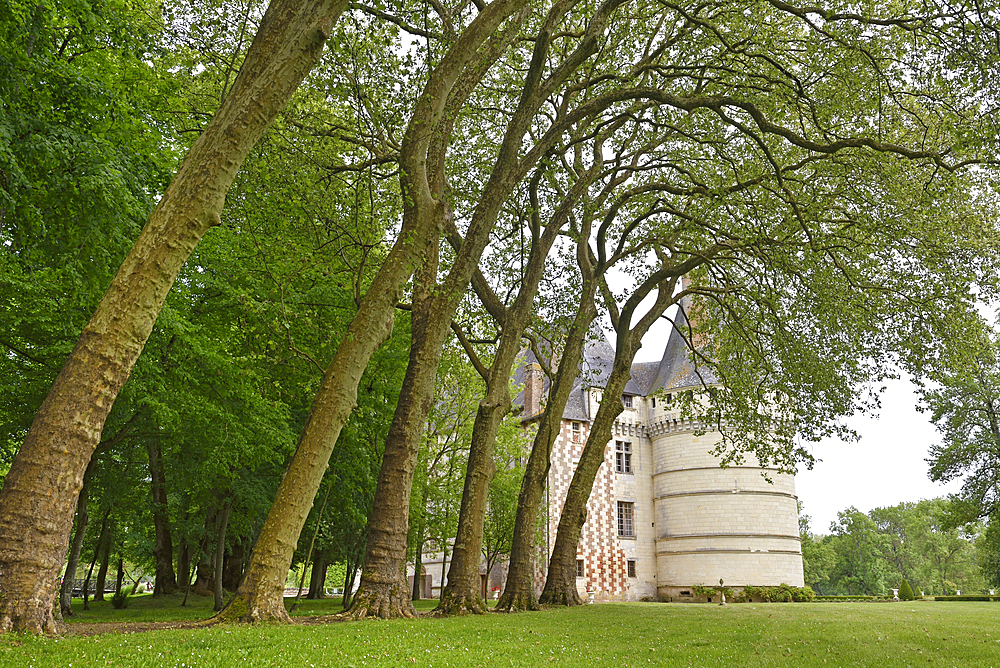 French Renaissance Chateau de l'Islette (16 th century) at Azay-le-Rideau, department of Indre-et-Loire, Centre-Val de Loire region, France, Europe
