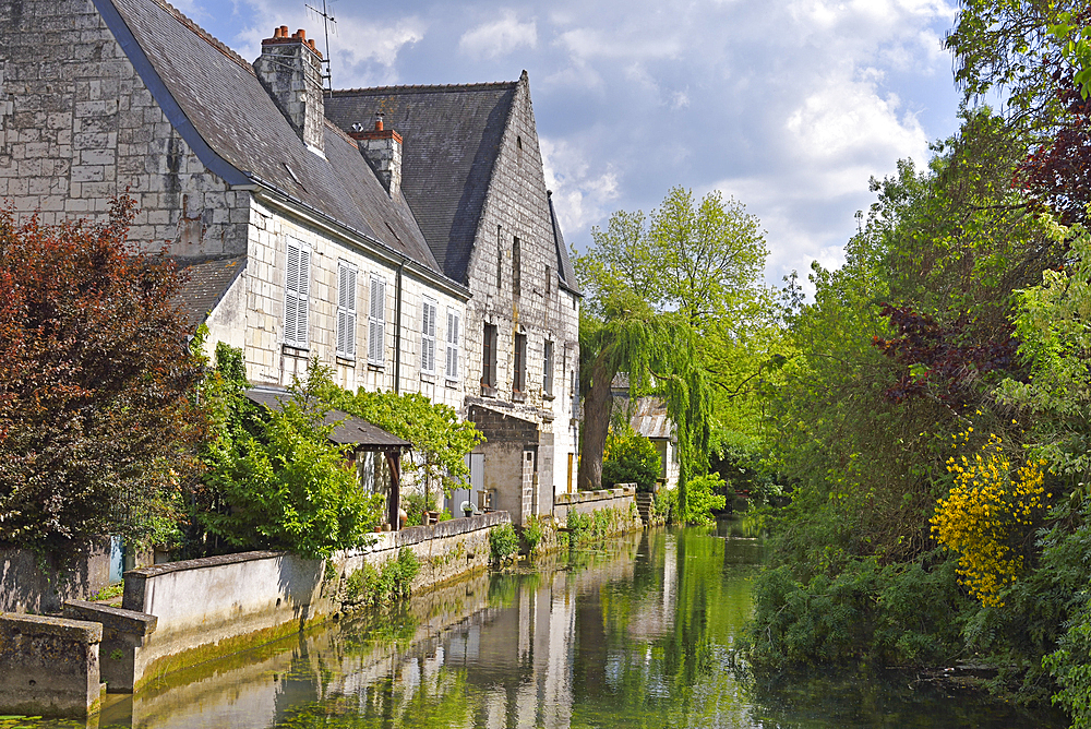 Indre River bank, Loches in Touraine, department of Indre-et-Loire, Centre-Val de Loire region, France, Europe