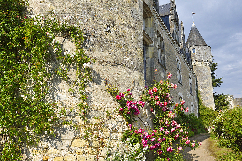 Chateau of Montresor, Touraine, department of Indre-et-Loire, Centre-Val de Loire region, France, Europe