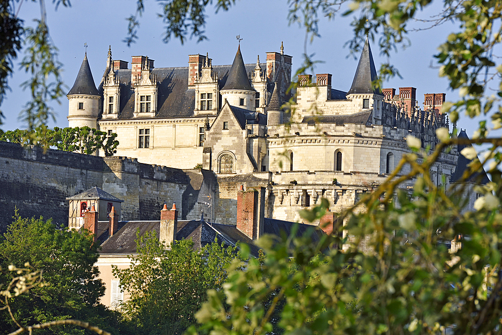 Chateau d'Amboise on the Loire River at Amboise, Touraine, department of Indre-et-Loire, Centre-Val de Loire region, France, Europe