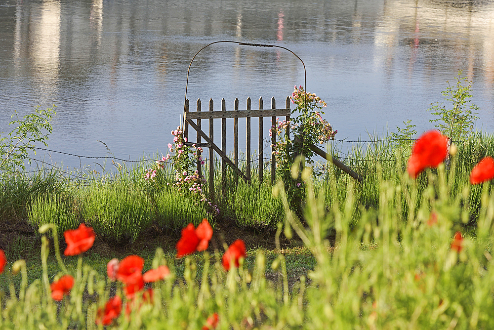 Garden by the Loire River, Amboise, Touraine, department of Indre-et-Loire, Centre-Val de Loire region, France, Europe
