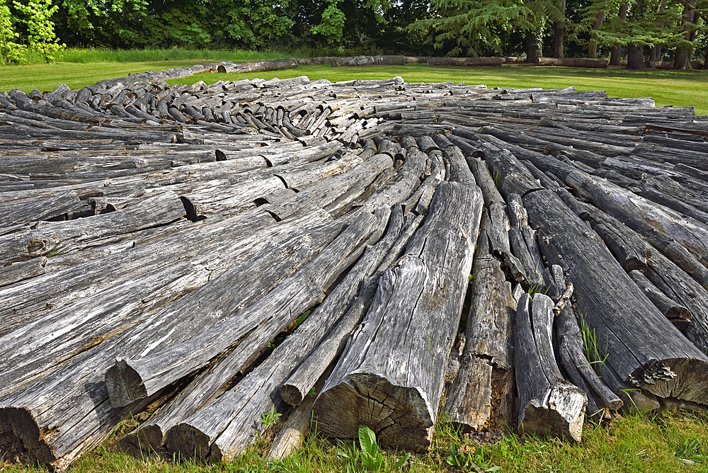 ' Carbon Pool' installation by Chris Drury, Pres du Goualoup, Domain of Chaumont-sur-Loire, Loir-et-Cher department, Centre-Val de Loire region, France, Europe