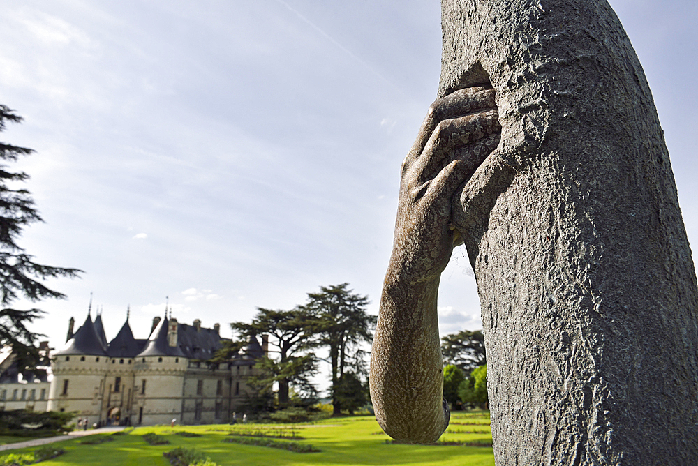 Work by Giuseppe Penone, permanent installations in the historic grounds, Domain of Chaumont-sur-Loire, Loir-et-Cher department, Centre-Val de Loire region, France, Europe