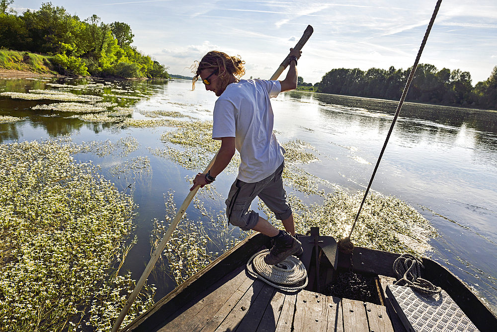 Pilot clearing the boat from the cluster of water crowfoot (Ranunculus fluitans), Flat bottomed barge (French word: Toue) trip on Loire river near Chaumont-sur-Loire, Loir-et-Cher department, Centre-Val de Loire region, France, Europe