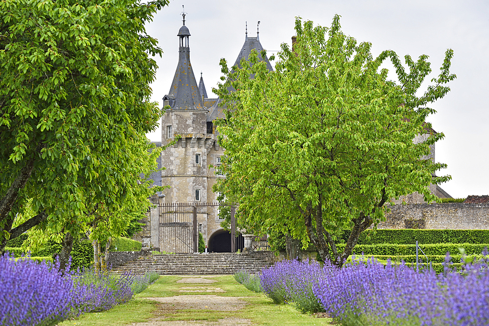 Gardens of the Chateau de Talcy, bought in 1517 by Salviati, a Florentine banker, known as the father of Cassandre who was the muse of the French poet Pierre de Ronsard, Loir-et-Cher department, Centre-Val de Loire region, France, Europe