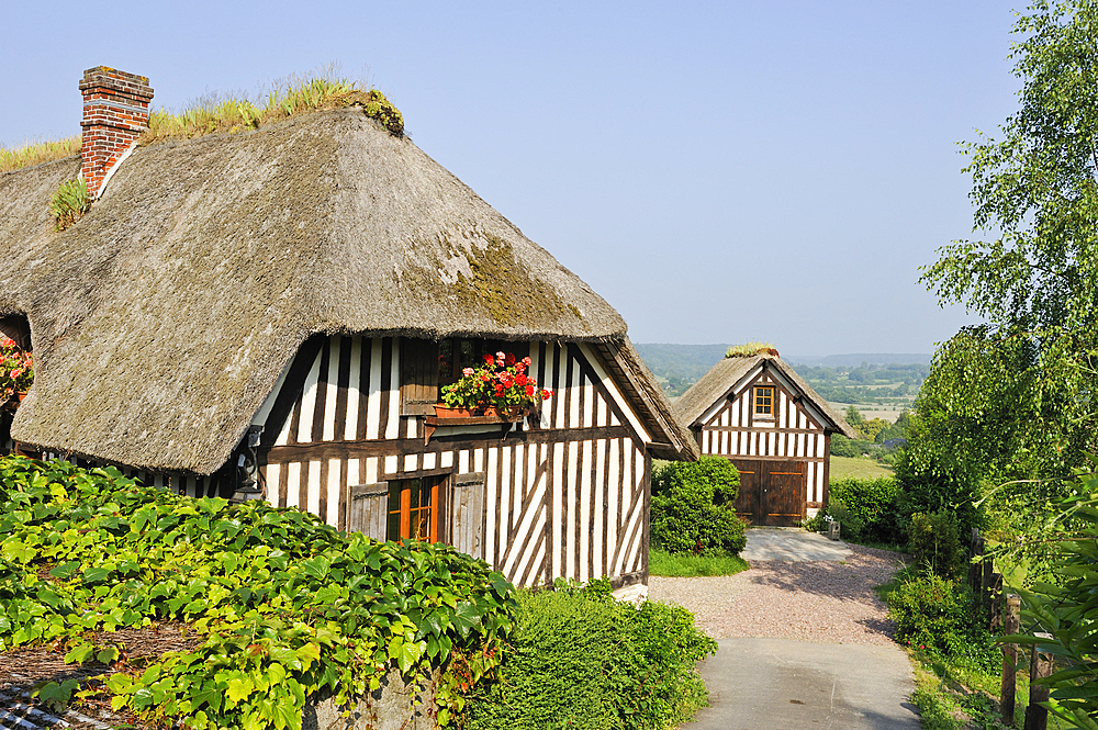 Thatched cottage,Pierrefitte-en-Auge,Pays d'Auge,Calvados department,Lower Normandy region,Northwestern France,Western Europe