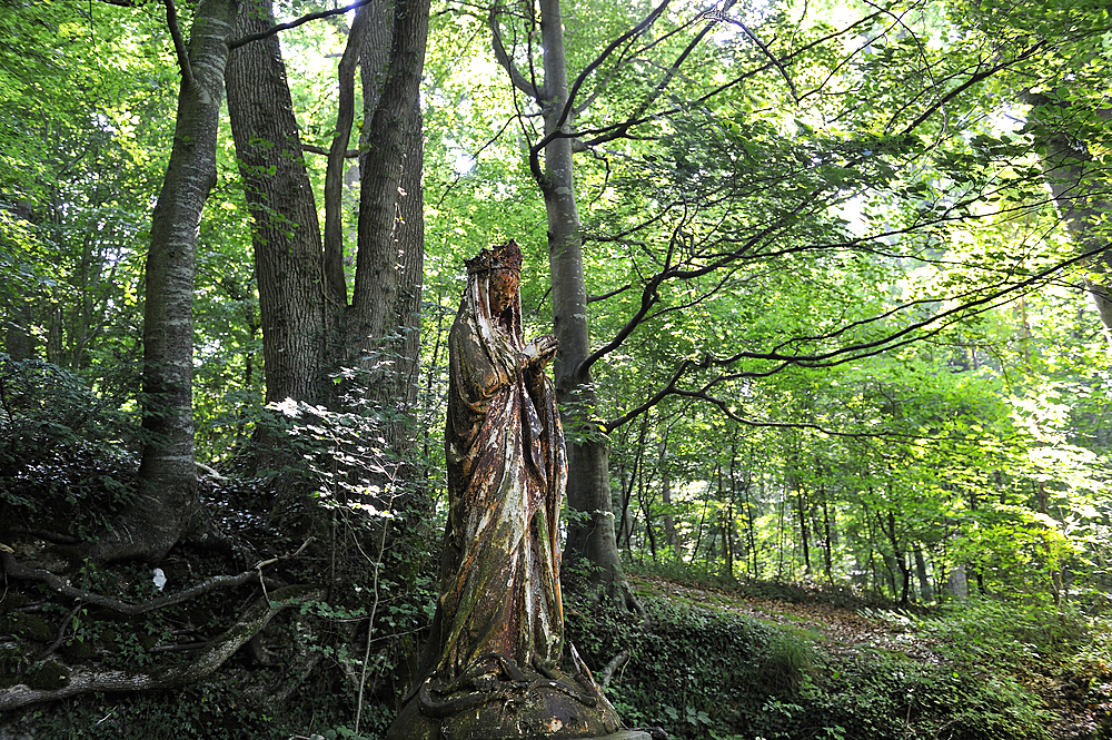Statue of Virgin Mary in the forest,Le Brevedent,Pays d'Auge,Calvados department,Lower Normandy region,Northwestern France,Western Europe