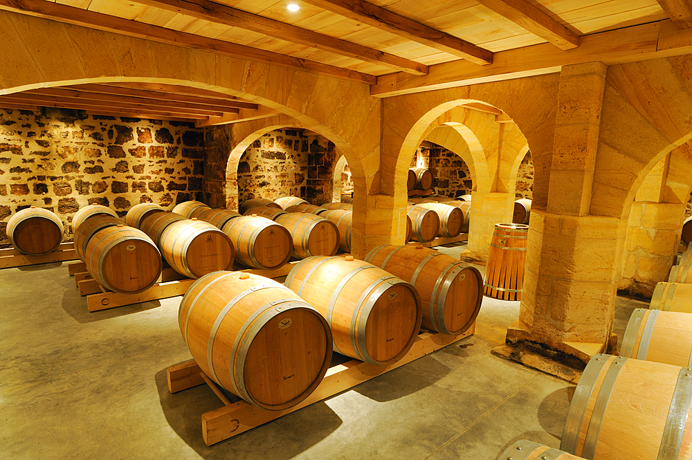 Cellar of Chateau de Mole,Puisseguin,Saint-Emilion,Gironde department,Aquitaine region,south-western France,Europe