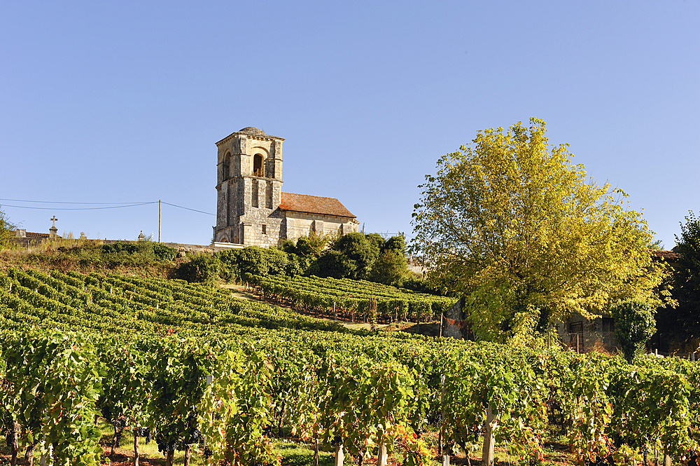 Our Lady of Parsac in the vineyards,Montagne,Gironde department,Aquitaine region,south-western France,Europe