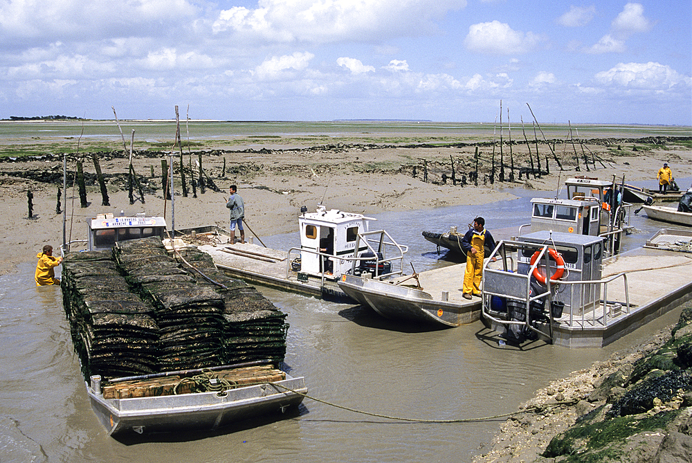 Oleron island,Bay of Biscay, tideway on Oleron Island,Charente-Maritime department,Poitou-Charentes region, France,Europe