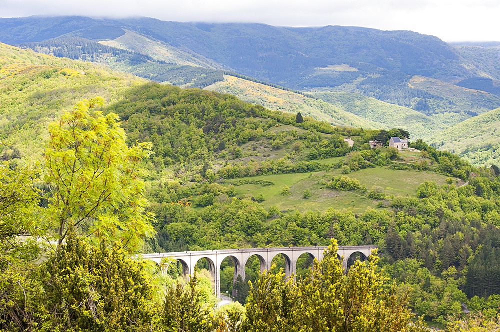 Vis River valley and the Aigoual mountains seen from the Causse de Campestre,Southern Cevennes,Gard department,Languedoc-Roussillon region,France,Europe