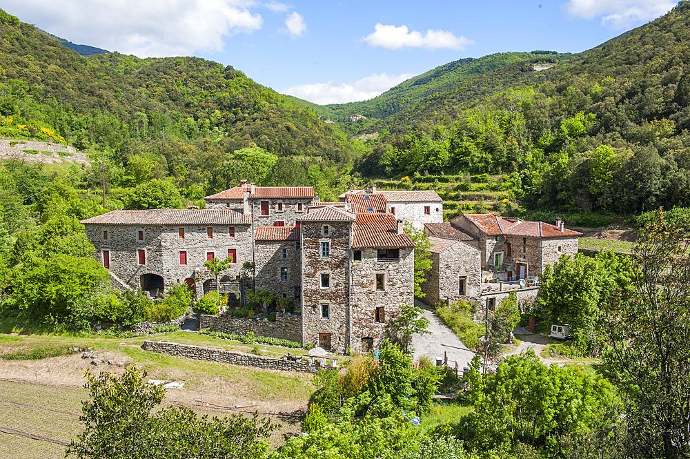 Hamlet of L'Arboux,Mandagout district,village of Cevennes range, Gard department,Languedoc-Roussillon region,France,Europe