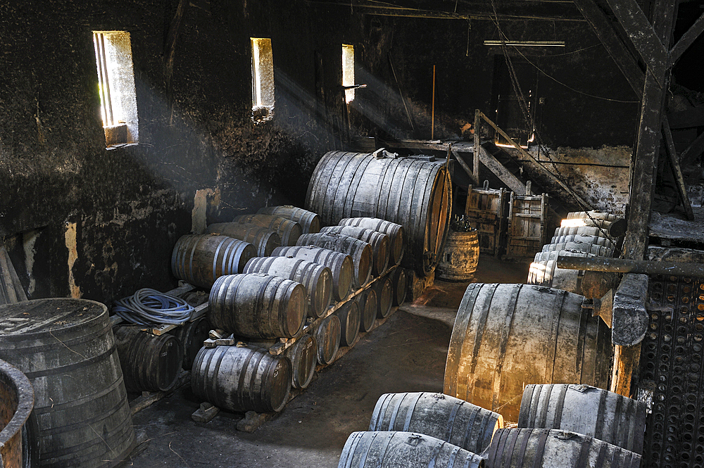 Cellar of 17th,Wine growing estate Chateau de Salles d'Armagnac,Gers department, Occitanie region, southwest of France,Europe