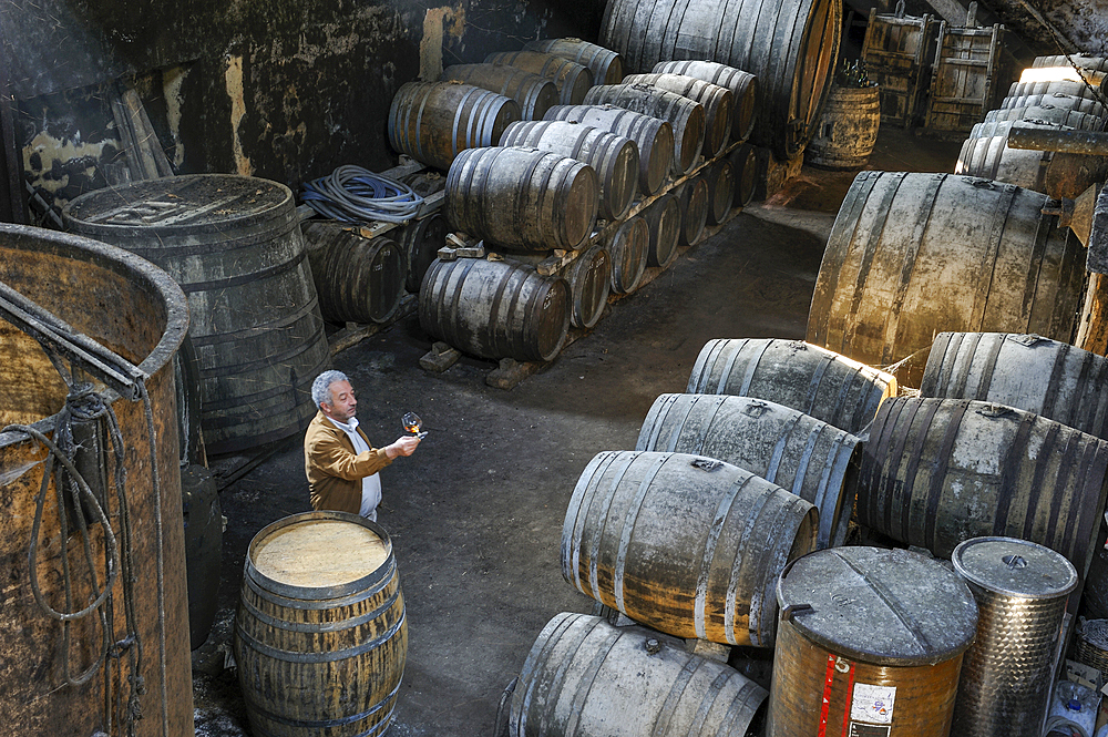Cellar of 17th,Wine growing estate Chateau de Salles d'Armagnac,Gers department, Occitanie region, southwest of France,Europe
