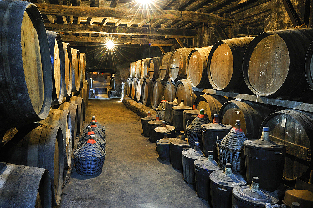 Cellar of 17th,Wine growing estate Chateau de Salles d'Armagnac,Gers department, Occitanie region, southwest of France,Europe