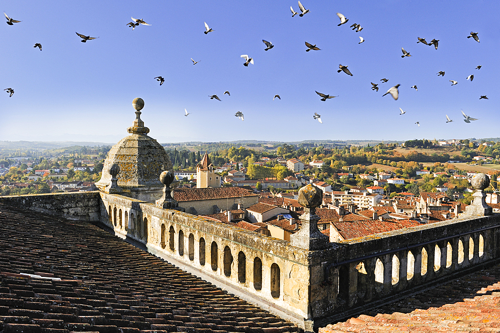 Top of the Cathedral,Auch.Gers department, Occitanie region, southwest of France,Europe