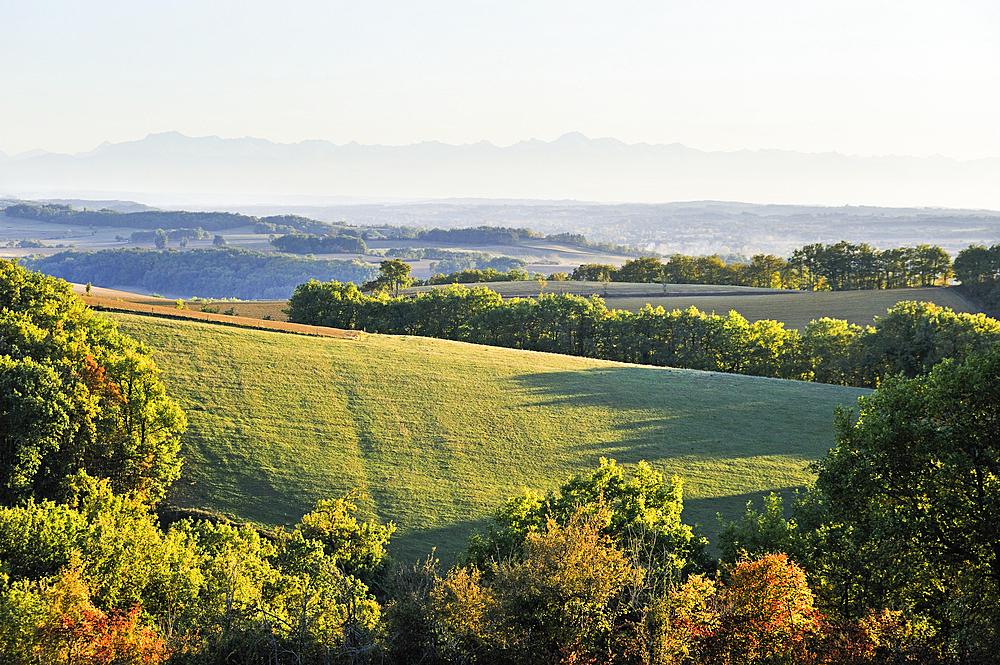 Countryside landscape around Auch.Gers department, Occitanie region, southwest of France,Europe