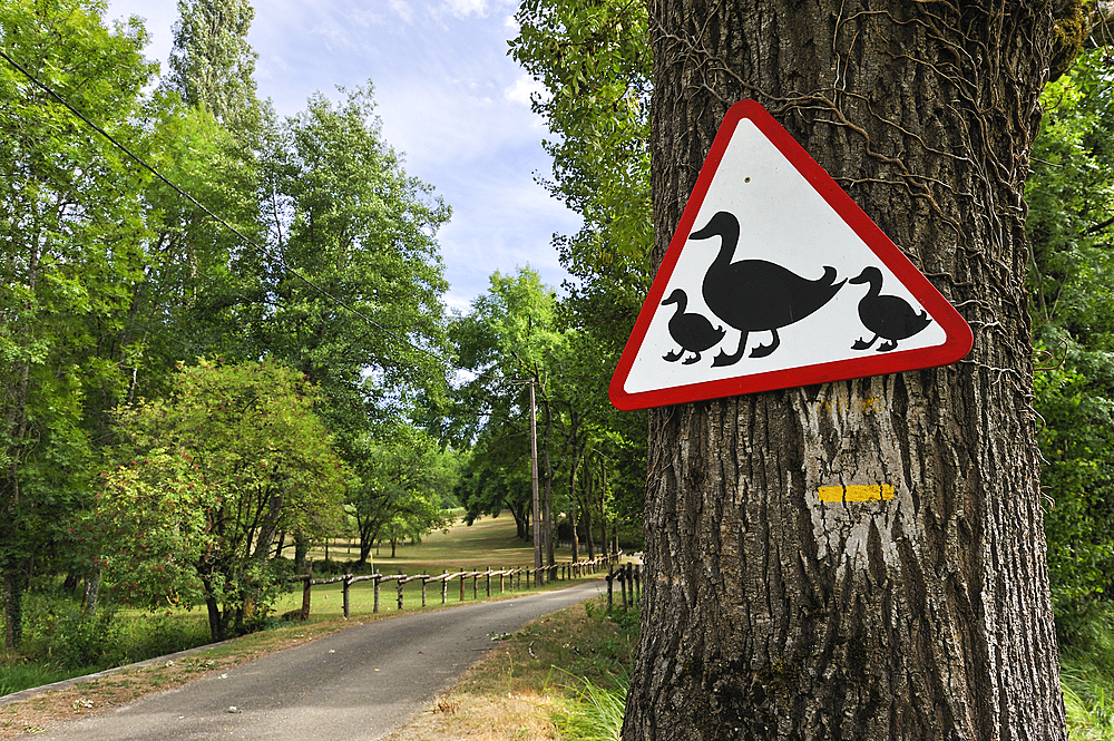 Unusual road sign preventing the passage of family of ducks, Lot department, region of Midi-Pyrenees, Occitanie, southwest of France, Europe
