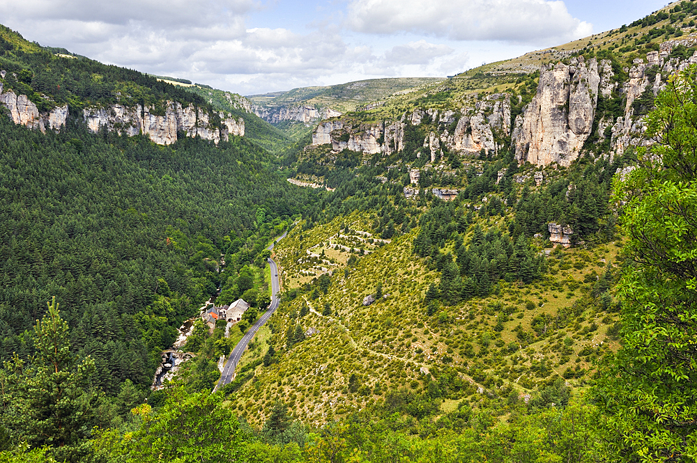The Jonte Gorges,Lozere departement,Languedoc-Roussillon region,,Occitanie,France,Europe