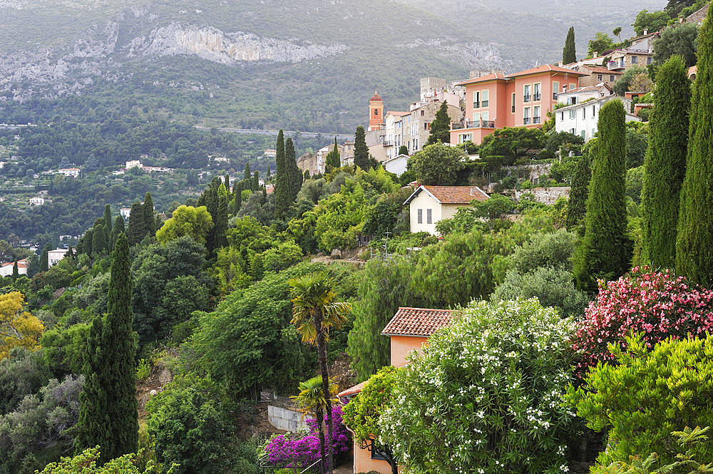Old perched village of Roquebrune-Cap-Martin, Alpes-Maritimes department,Provence-Alpes-Cote d'Azur region,southeast of France,Europe.