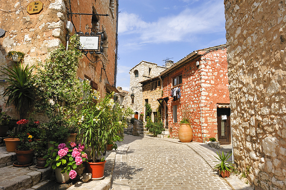 Bystreet in the perched village Tourrettes-sur-Loup.Alpes-Maritimes department,Provence-Alpes-Cote d'Azur region,southeast of France,Europe.