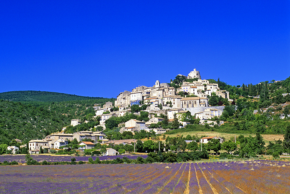 Simiane-la-Rotonde, Alpes-de-Haute-Provence department, Provence-Alpes-Cote d'Azur region, France, Europe