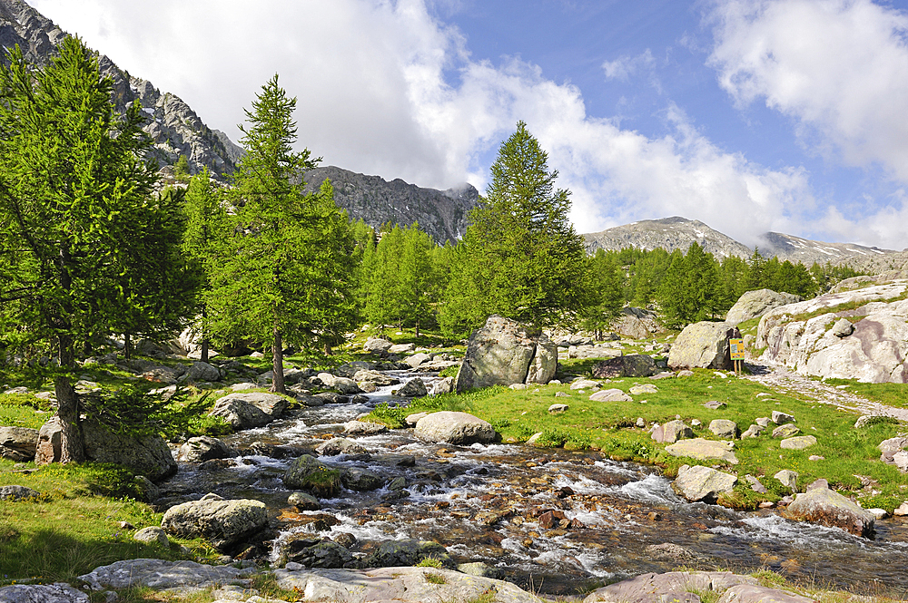 Mountain stream in the Vallee des Merveilles, Mercantour National Park, Alpes-Maritimes department, Provence-Alpes-Cote d'Azur region,southeast of France,Europe.