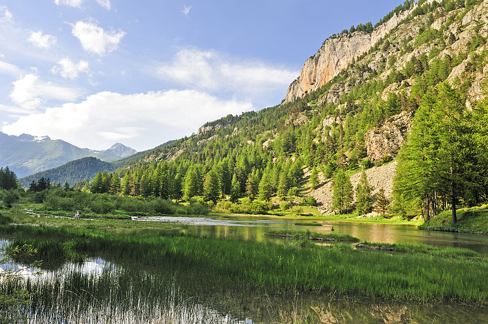 Casterino Lake, Mercantour National Park, Alpes-Maritimes department, Provence-Alpes-Cote d'Azur region,southeast of France,Europe.