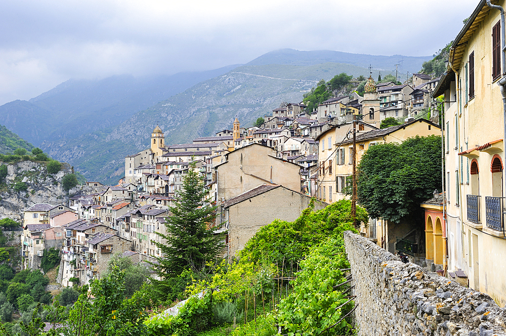 Saorge, Mercantour National Park, Alpes-Maritimes department, Provence-Alpes-Cote d'Azur region,southeast of France,Europe.