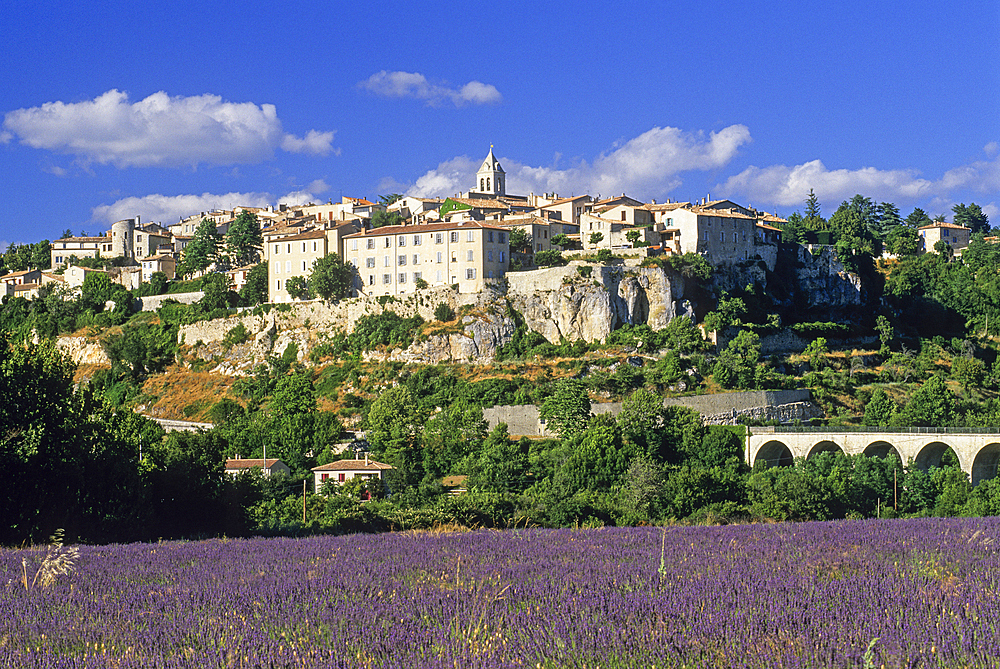 City of Sault, Vaucluse department, Provence-Alpes-Cote d'Azur region, southeastern France, Europe