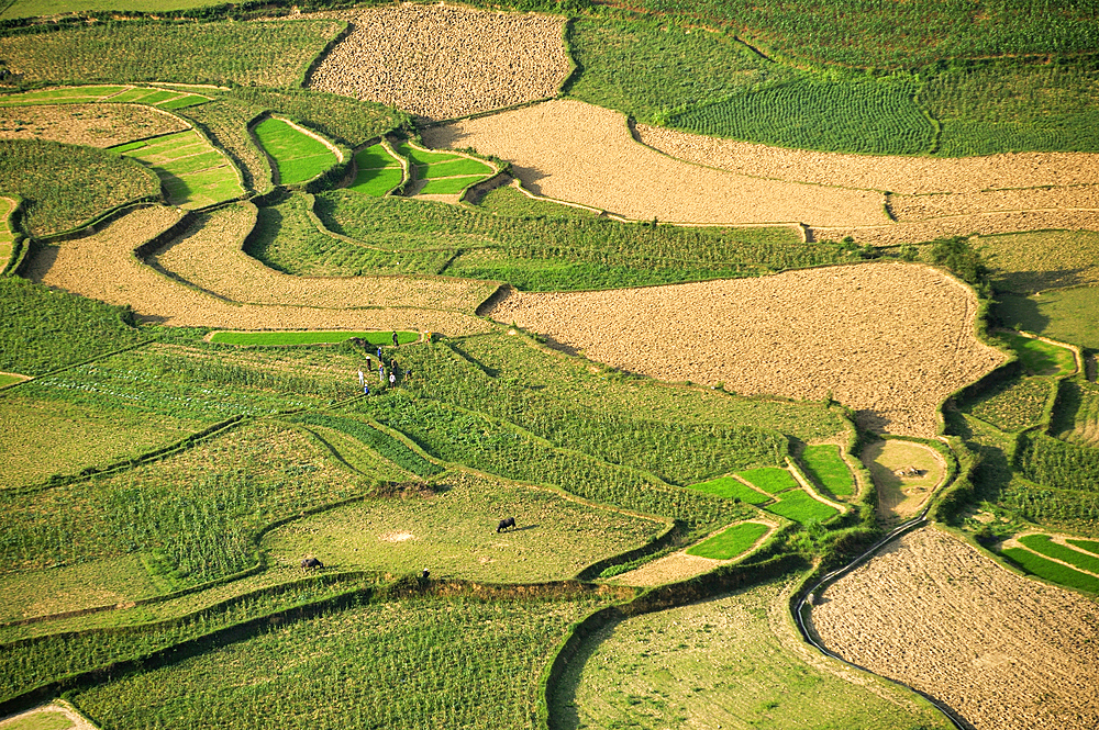 Paddy-fields around Tam Son village viewed from Quan Ba Pass on the road to Yen Minh,Ha Giang province, Northern Vietnam, Southeast Asia