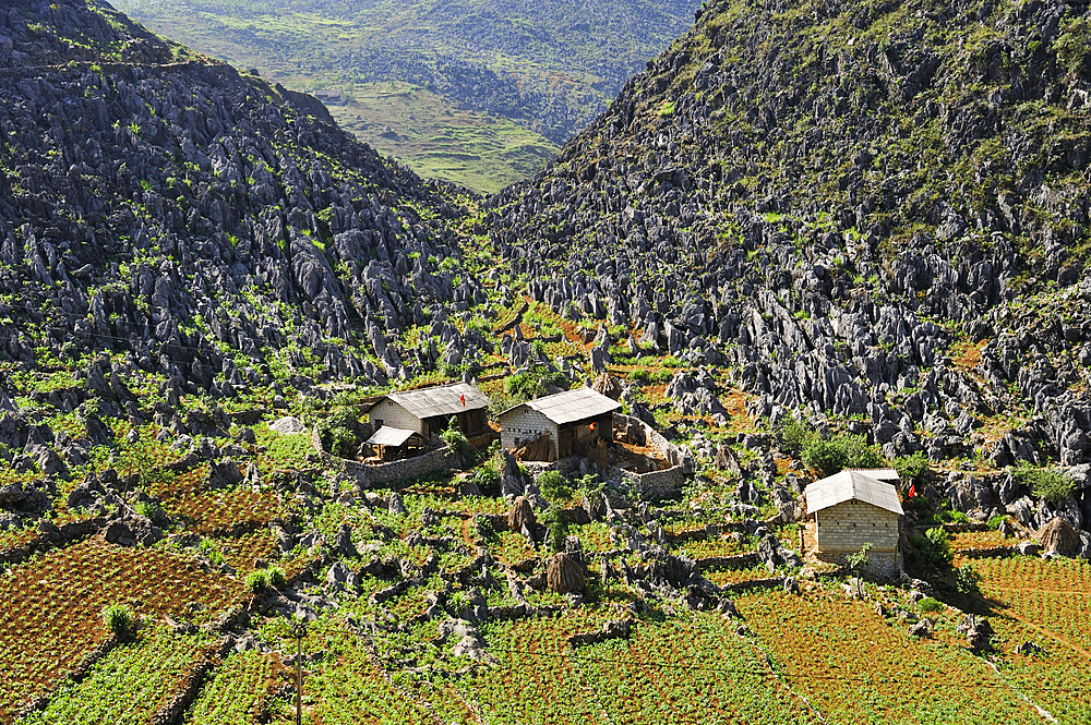 H'mong houses, Limestone mountains of Dong Van Karst Plateau Geopark, Dong Van,Ha Giang province,northern Vietnam,southeast asia