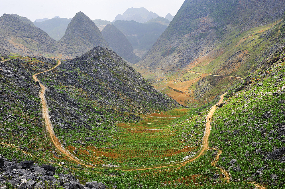 Small valley near Sa Phin, Dong Van plateau, Ha Giang province, Northern Vietnam, Southeast Asia