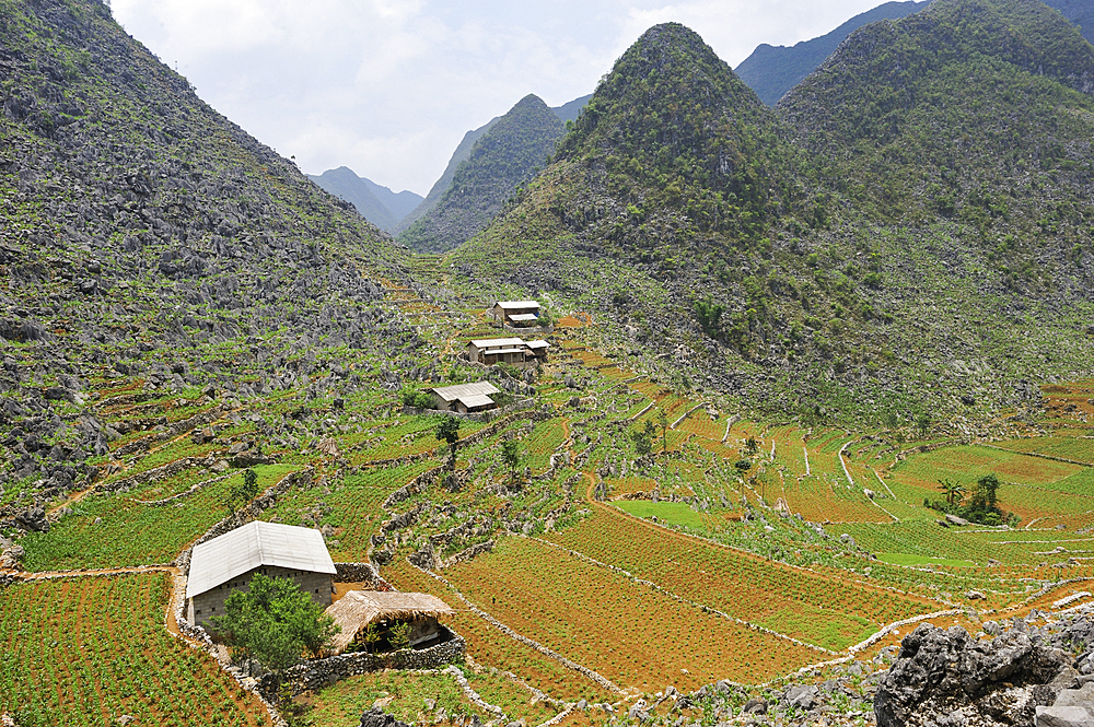 Mountain hamlet near Sa Phin, Dong Van plateau, Ha Giang province, Northern Vietnam, Southeast Asia
