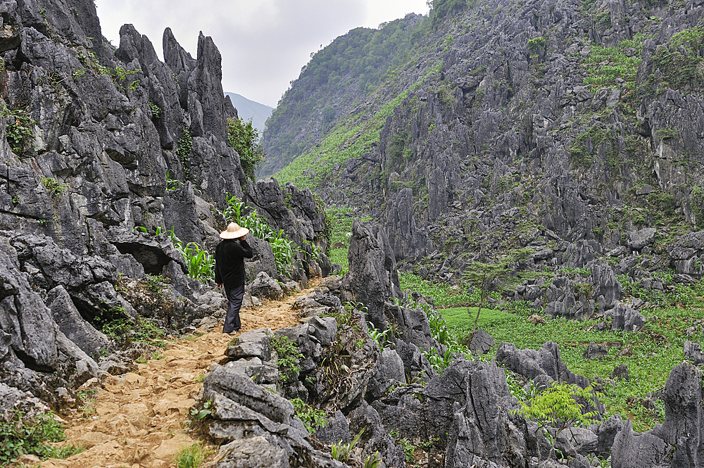 Man walking along a mountain path around Sa Phin, Ha Giang province, Northern Vietnam, Southeast Asia