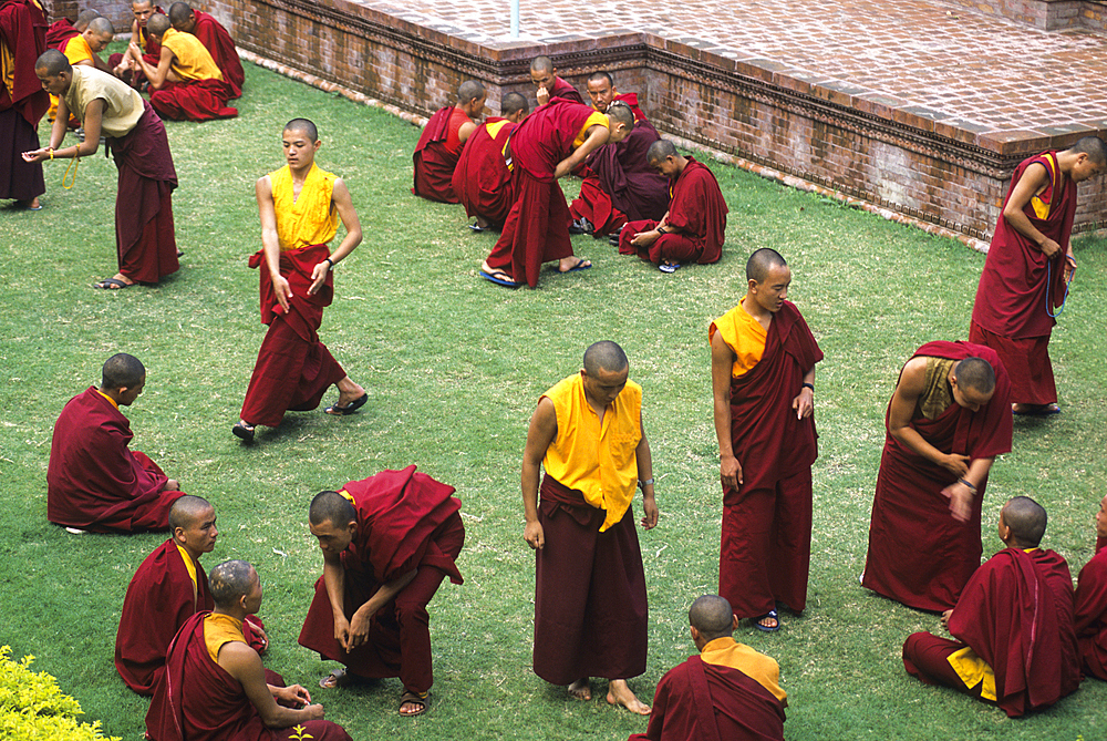 Monks,Shechen monastery,Buddhist philosophy university,Bodnath,Katmandu,Nepal,Himalaya,South Asia