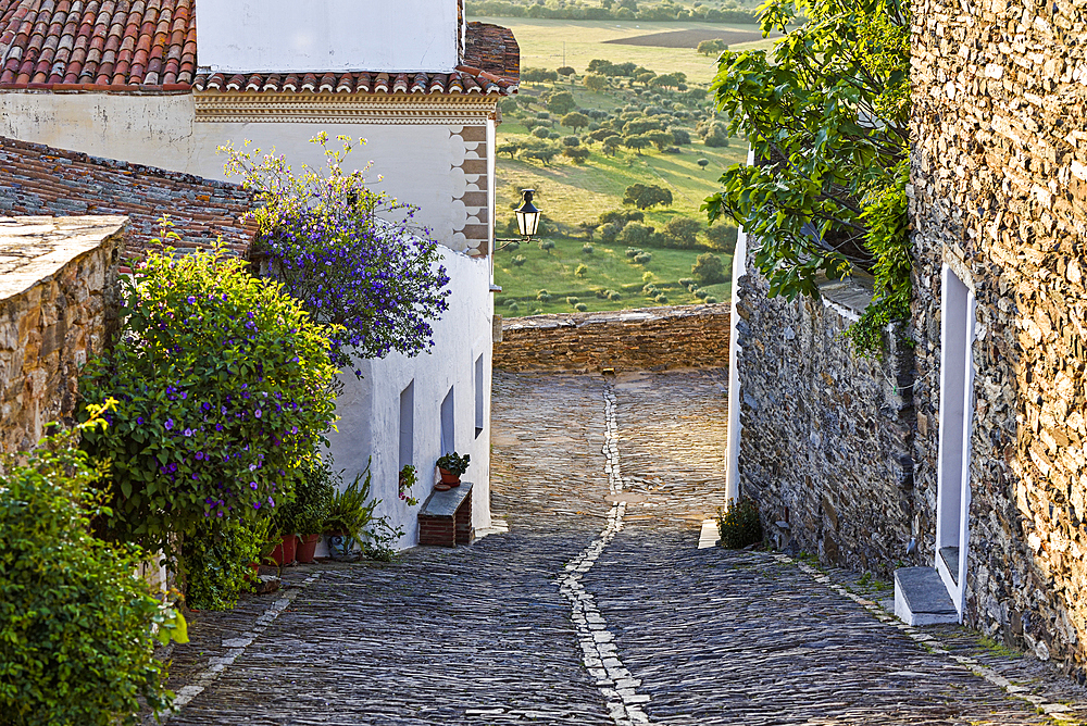 Cobbled street in the perched village Monsaraz, Municipality of Reguengos de Monsaraz, Alentejo region, Portugal, southwertern Europe