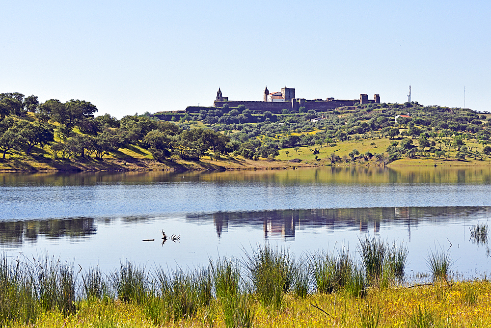 Banks of the dam lake of Alqueva on the Guadiana River near Mourao, Reguengos de Monsaraz, Alentejo region, Portugal, southwertern Europe