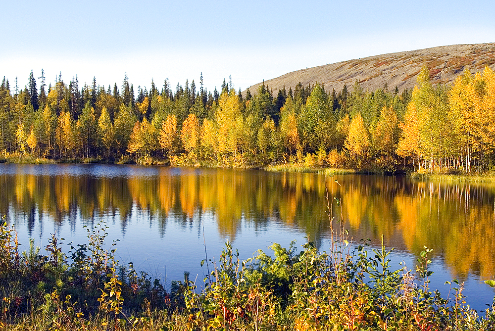 Pyha-Luosto National Park,Lapland,Finland, Northern Europe