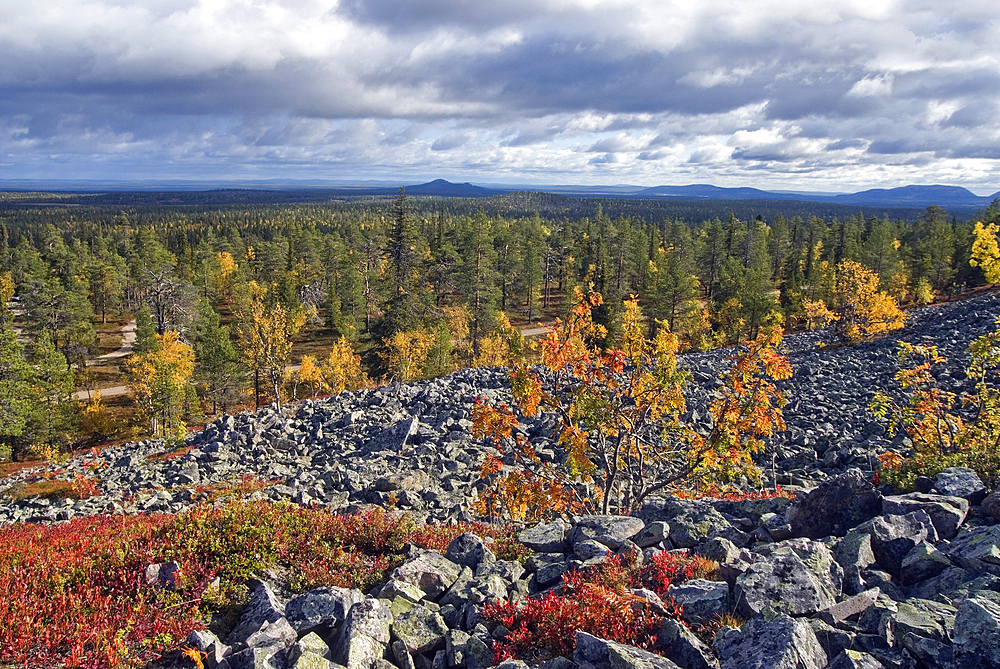 View from Lampivaara Hills,Pyha-Luosto National Park,Lapland,Finland, Northern Europe