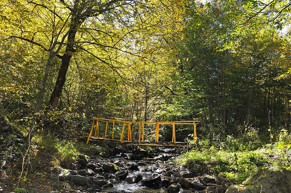 Hiking path in the forest of the Dilijan National Park, Tavush region, Armenia, Eurasia