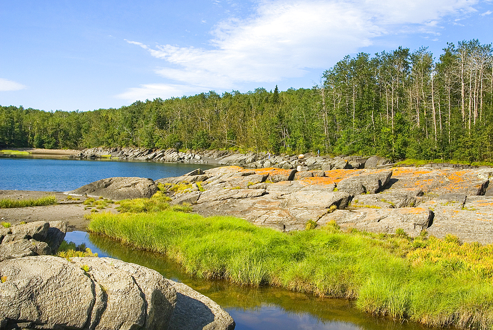 Saint-Lawrence River bank, Ile aux Lievres, Saint-Laurent river, Quebec province, Canada, North America